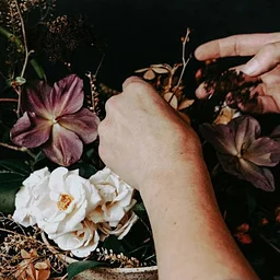 Harvest & Pours: Friendsgiving Centerpiece Workshop
