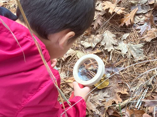 Week of the Young Child: Family Nature Walk