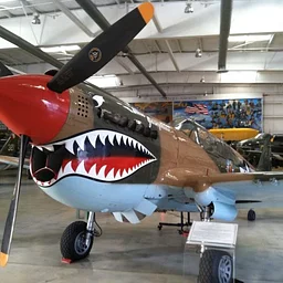 P-40 Warhawk Open Cockpit