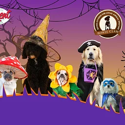 Paws & Claws Howl-O-Ween Fest 2026