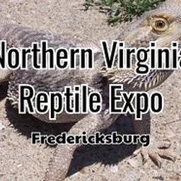 Northern Virginia Reptile Expo – Fredericksburg