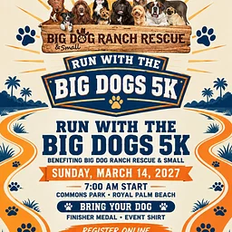 Run with the Big Dogs 5K