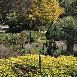 Avent’s Private Garden Tour