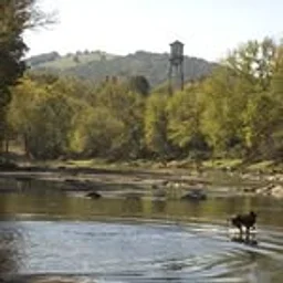 Rivanna Conservation Alliance