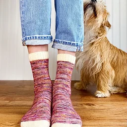 Sock Clinic