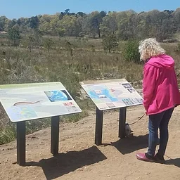 The 300 Committee: Upper Coonamesset River Trails