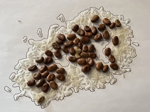 Building a New World Zine Making Workshop