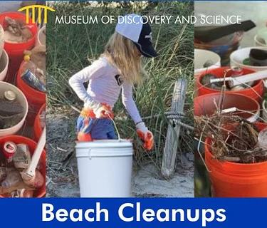 Beach Clean-ups