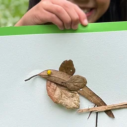 Feathered Friends: Birdwatching & Nature Art for Families
