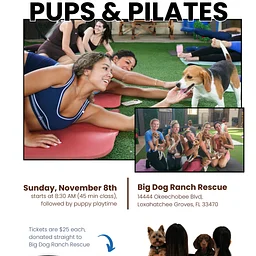 Pups & Pilates with JETSET