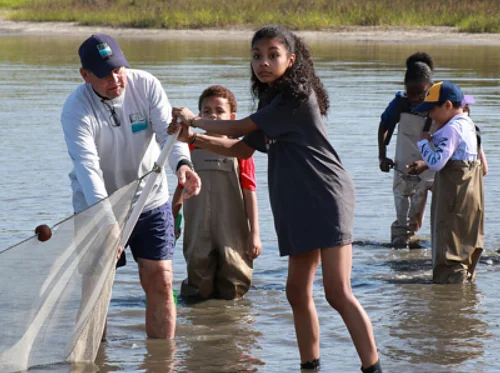 Family Seining