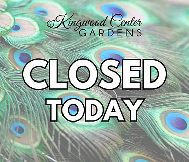 Closed today