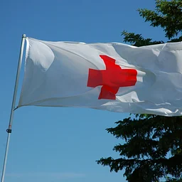 Blood Drive at the Olive Free Library