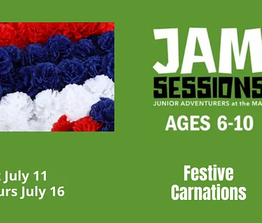 JAM Sessions: Festive Carnations