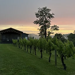 Halloween Jazz at the Vineyard