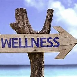 3rd Annual Wellness Fair