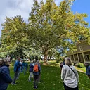 Officers Row Trees Walking Tour