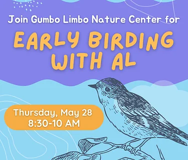 Early Birding with AL