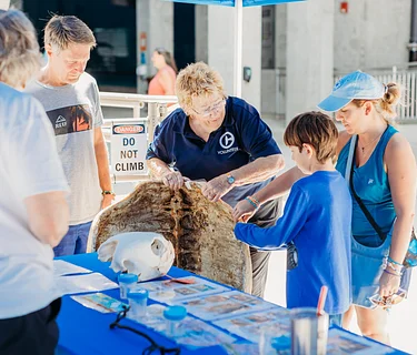 Sea Turtle Awareness Day 2026
