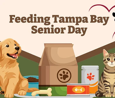 Feeding Tampa Bay Senior Day