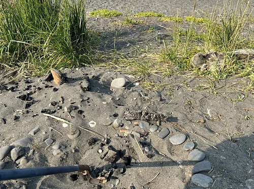 Sacredness of Place: Raku Clay Pit Fire at Bishop’s Beach
