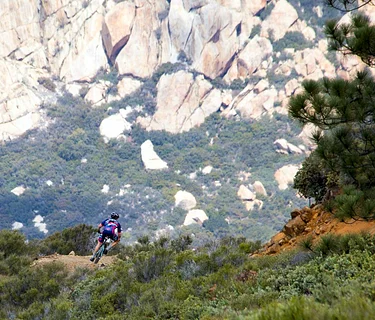 Sage Brush Safari 2026