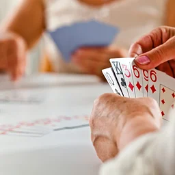 Fun Bridge (Fridays)