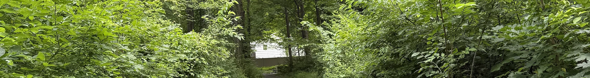 Women Who Walk - NYCT