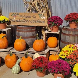 October Harvest Festival