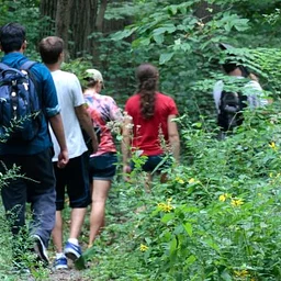 Summer Crum Woods Hike
