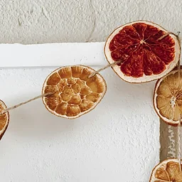 Seasonal Intentions & Garland Making