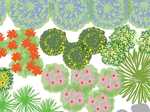 How to Select Plants