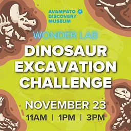 Wonder Lab: Dinosaur Excavation Challenge