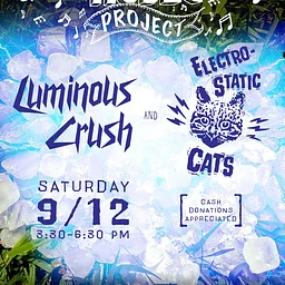 Luminous Crush and Electrotastic Cats