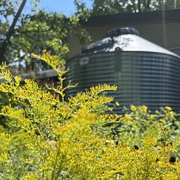 Native Planters