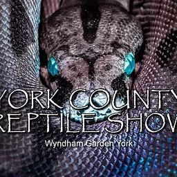 York County Reptile Show