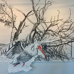 BIRDS, No Words