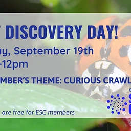 Tot Discovery Day