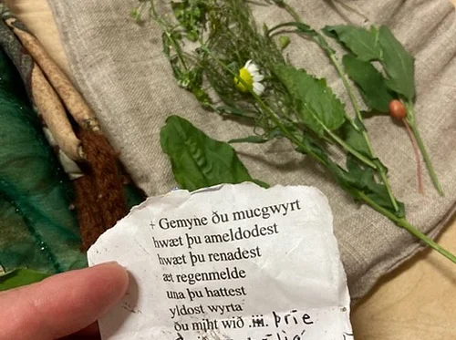 The 9 Herbs Charm with Kari Tauring