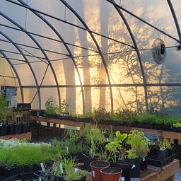 Greenhouse Decorators