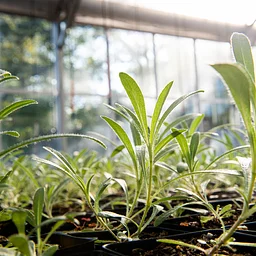 Nursery Tour