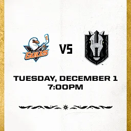 Silver Knights vs Gulls