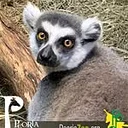 Peoria Zoo
