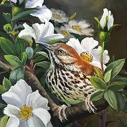 BAA 3-Day Painting Workshop with Suzanne Barrett Justis / “Birds and Botanicals”