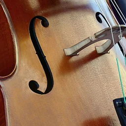 Cello At The Library