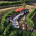 Summer Field & Vine Dinner