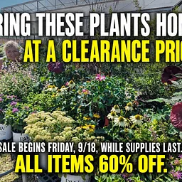 Plant Sale Begins Friday 918 While Supplies Last All Items 60 Off