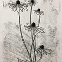 Make+Take: Trace Monotypes