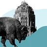 Buffalo