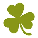 Paddy McGown's Pub